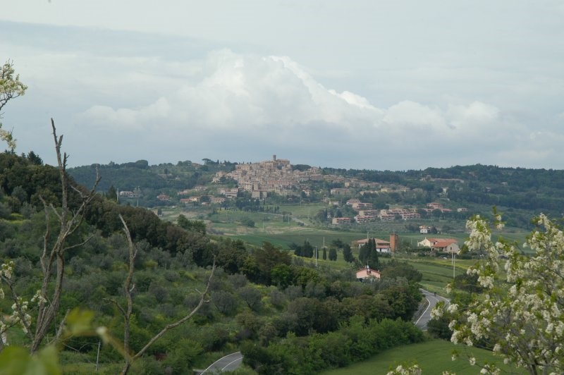 BIBBONA CAMPAGNA